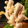 Jengibre Fresco, Jengibre Viejo, Jengibre Grande, Jengibre Amarillo, Jengibre Seco, Jengibre Posparto, Trozos de Jengibre, Caja Entera, Yunnan, por Libra, Envío Gratis