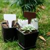 Etiqueta de plástico en forma de T para plantas hortícolas verdes, grabable, resistente al agua, con flores carnosas, engrosada, con logotipo para plantas en maceta.