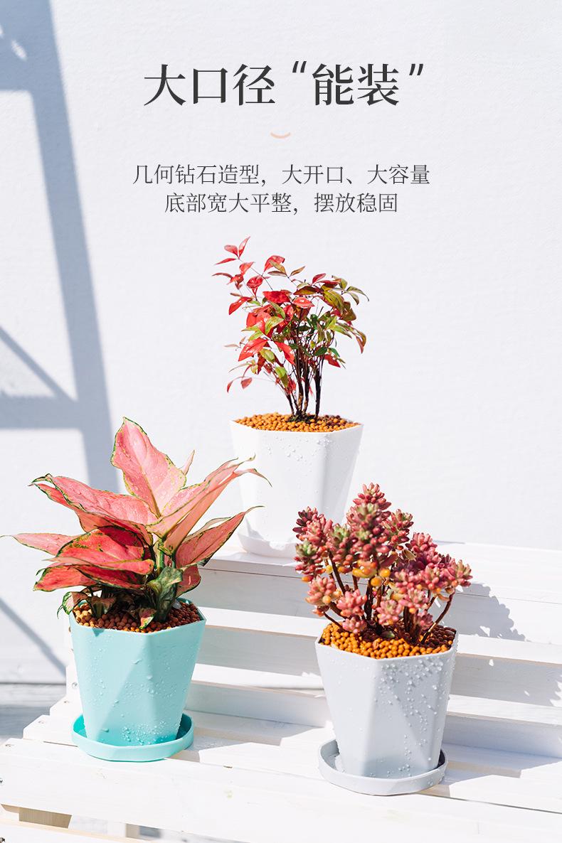 北欧简约塑料创意个性树脂加厚小加仑家用盆栽绿萝特价