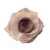 Estilo Cool Japonés Sizzy Encaje de Malla con Borde Quemado Rosa Seco Accesorios para el Cabello Hechos a Mano DIY Accesorios para Ropa