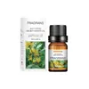 Óleo Essencial de Aromaterapia Solúvel em Água Aroma de Lavanda Purificador de Ar Casa Aromaterapia Sem Chama Líquido de Recarga
