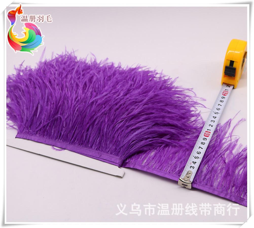 34 0-34 purple ostrich feather