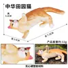 Mini Simulación Animal Marino Juguete Modelo Carnoso Adornos Micro Paisaje Ballena Tiburón Pez León Marino Decoración de Pastel Regalo