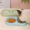 Novo Tigela de Plástico para Gato de Estimação Cor Doce Quente Estilo Moda INS Cor Macaron Oval Tigela Dupla para Animais de Estimação
