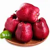Manzanas Huaniu de Tianshui, Gansu, disponible para dropshipping, 2.5/8 libras, 70-80 mm, fruta fresca de temporada, se vende en cajas completas