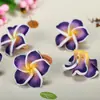 Venta de Liquidación Flor de Arcilla Blanda de 22 mm Plumeria Agujero Doble Pulsera de Cristal con Cuentas DIY Accesorio Creativo para el Cabello Collar Materiales para Joyería