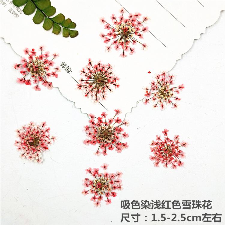 IMG20200224171853