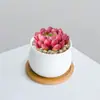 Combinación de Plantas Suculentas Pequeñas en Maceta para Interiores Suculentas Fáciles de Cuidar Plantas Verdes de Escritorio Flores con Maceta Paquete para Principiantes