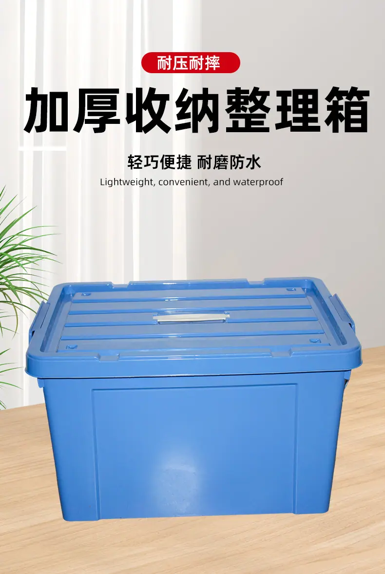 详情_02.jpg