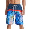 Calças de praia transfronteiriças do Havaí Shorts masculinos de comércio exterior Calças esportivas Secagem rápida Designação de padrão de impressão digital 3D europeia e americana