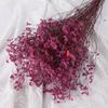Hierba de Cristal Flor Real Flor Seca Ramo de Flores Secas Marco de Fotos Material Floral Venta al por Mayor Flor Eterna Cubierta de Vidrio Caja de Regalo Accesorios para Arreglos Florales