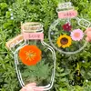 Marcadores de Página de Flores Secas, Materiais DIY Artesanais, Frascos Transparentes para Espécimes, Primavera em uma Garrafa, Flores Prensadas Caseiras, Plantas, Flores para Alunos do Ensino Fundamental