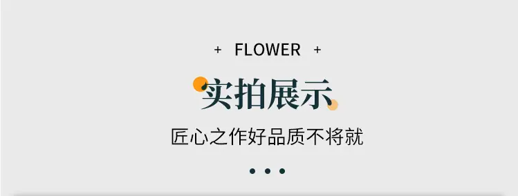 详情---副本_10.jpg
