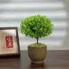 Planta Bonsái Rojo Nan de Hoja Pequeña Tocón Viejo Madera Nan Hilo Dorado Maceta Zen Chino Planta Verde de Escritorio Flor
