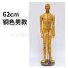 Modelo do Corpo Humano com Pontos de Acupuntura, Diagrama dos Doze Meridianos da Medicina Tradicional Chinesa do Corpo Inteiro, Modelo de Manequim de Cobre para Prática de Acupuntura, Pequeno Manequim de Pele