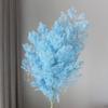 Inmortal esponjoso Cedro hortensia pino flores preservadas flor seca fábrica directa lote disposición escena de boda flor al por mayor