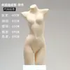 Soporte de Exhibición para Maniquí de Ropa Interior Cuerpo Entero Masculino Femenino Maniquí de Soporte para Sujetador Push Up Pantaletas Modelo Maniquí Busto