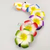 Clip de Flor de Huevo Colorido de Múltiples Especificaciones Flor de Tocados Yiwu Clip para el Cabello con Flor Decoración Vacaciones en la Costa Accesorios de Flores Artificiales