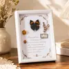 Suporte de Exibição de Porta-Retrato Oco Tridimensional DIY Moldura para Espécimes de Insetos Borboletas Madeira 6 polegadas Armazenamento de Flores Secas e Folhas Caídas Porta-Retrato Moldura Vazia