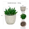 Planta en Maceta Artificial Mini Transfronteriza Hecha a Medida Adornos de Escritorio Bonsái Suculento de Simulación Flor Artificial Planta Verde Pulpa Suculenta Planta en Maceta
