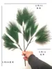 Galhos de pinho com frutos galhos de pinho falsos paisagem de pinho agulhas de pinho pinho negro galhos de cipreste pinho de boas-vindas árvore de Natal cavalinha grande pinho