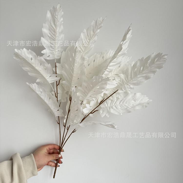 微信图片_202303241646124_副本