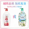 Detergente para Ropa con Hoja de Camelia y Artimisa para Ropa Interior, Fórmula Suave Adecuada para Madres y Bebés, 99.9% Antibacteriano, Directo de la Fábrica de Origen