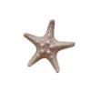 Decoración de Cabeza de Estrella de Mar Blanca Decolorada Especial Pentagonal Natural Plataforma de Boda Decoración Mediterránea Estrella de Mar Real