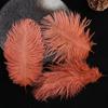 Accesorios de ropa de plumas de avestruz de colores materiales de decoración de bodas accesorios de plumas hechos a mano DIY decoración del hogar