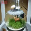 Tanque de Peces Esférico Engrosado Extra Grande, Tanque de Peces Ecológico Redondo Transparente, Tanque de Vidrio de Escritorio, Tanque de Peces Grande para Sala de Estar