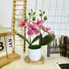 Película 3D Dos Bonsáis de Phalaenopsis de 4 Flores Adornos de Planta Artificial para Sala de Estar Interior Decoración de Piso para Restaurante Flores Artificiales