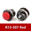 Fornecimento de Interruptor de Botão de Pressão R13-507 Interruptor de Botão de Pressão Momentâneo de Rearme Automático de 16mm com Porca Rosqueada e Dois Pinos