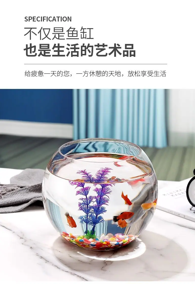 6b144493-af63-4ab4-8a75-9f1ac2f150e5.jpe