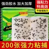 Pegatinas para Moscas, Papel Pegajoso Fuerte para Moscas, Tablero Pegajoso para Moscas, Trampa Matamosquitos, Matamoscas, Uso Doméstico