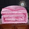 Colcha de Invierno Núcleo de Algodón Engrosada para Calidez en Invierno 5kg Dormitorio Individual Colcha de Primavera y Otoño Colcha de Aire Acondicionado