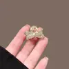 Esencial para el Período de Transición del Cabello Corto: Pinza de Garra Pequeña y Delicada para Mujer, Pinza para Cabello de Media Recogida, Accesorio para el Cabello, Pinza de Tiburón, Pasador