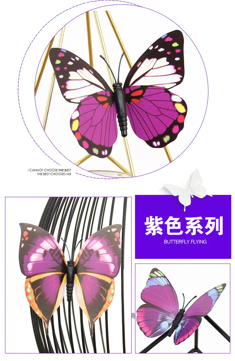 蝴蝶套版_30.jpg