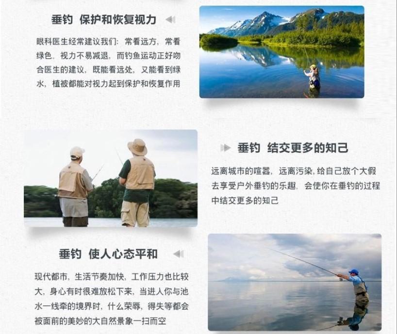 详情9