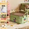 Caja de almacenamiento con tapa y diseño de dibujos animados para el hogar, dormitorio, artículos diversos, juguetes, aperitivos, ropa, escritorio.