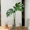 Monstera Hidropónica en Maceta Interior Plantas Verdes Fáciles de Cultivar Sala de Estar Oficina Grande Celebridad de Internet Estilo Tropical Escandinavo Pila Vieja