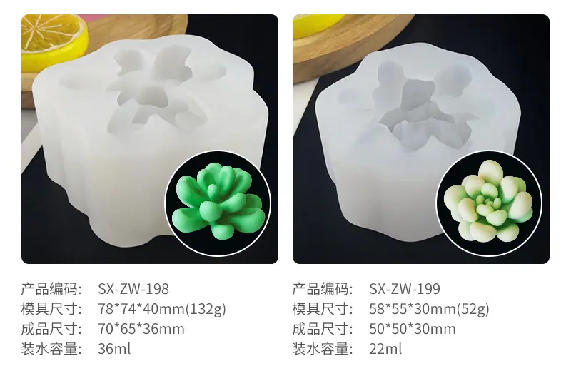 多肉详情-1_10.jpg