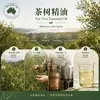 Aceite Esencial de Árbol de Té de Australia, Aceite Esencial para Aromaterapia, Masaje Facial, Venta al por Mayor de Materias Primas de Aceites Esenciales para Uso de Muestreo Industrial