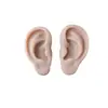 Modelo de Silicone de Orelha Artificial 5D Brincos Falsos para Acupuntura Brincos Adereços de Treinamento de Piercing para Iniciantes Display