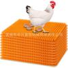 ZTE Producción Bandeja de Huevo Plástico Esterilla Lavable Nido Huevo Caja Huevo Poner Caja Plástico Esterilla