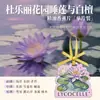 Hojas Aromáticas de Aceite Esencial Zhanjia para Armario y Closet, Aroma Colgante para Dormitorio del Hogar, Ambientador para Coche, Aroma de Larga Duración