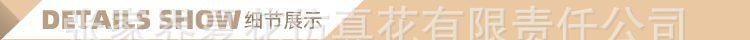 单支绣球豆花（2组叶）_15.jpg
