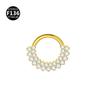Venta caliente transfronteriza F136, anillo nasal de aleación de titanio con borla, anillo para el hueso de la oreja, anillo nasal tallado, joyería anti-explosión