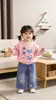 Conjunto de Roupa para Meninos Primavera e Outono 2026 Novo Estilo Roupa de Outono para Bebê Versão Coreana Moletom Casual Gola Redonda Manga Longa Conjunto de Duas Peças Venda por Atacado