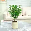 Nuevo Maceta Transparente Auto-Riego para Personas Perezosas Maceta Absorbente de Agua Maceta de Resina Creativa para Escritorio Maceta de Jardinería Adorno de Color