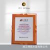 Nuevo Trofeo de Cristal Impresión 3D Material Nuevo Creativo Medalla Hecha a Medida Impresión a Color Reunión Anual Corporativa Premio de Reconocimiento Destacado